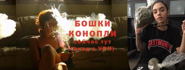 PSILOCYBIN Белокуриха