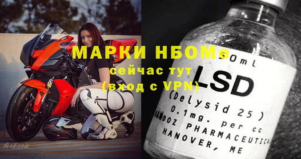 PSILOCYBIN Белокуриха