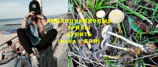 тгк Беломорск