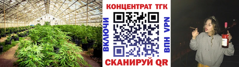 кракен онион  как найти закладки  Бородино  Дистиллят ТГК Wax 
